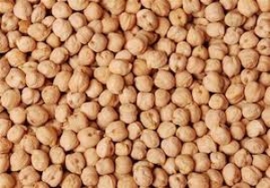 جلسه مجمع عمومی شورای ملی نخود ایران برگزار می شود.