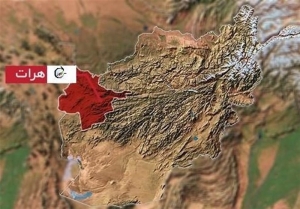 برگزاری پاویون ایران در اولین نمایشگاه بین المللی تخصصی مواد غذایی و کشاورزی هرات افغانستان